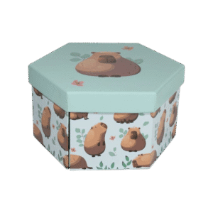 Set x46 Caja Exagonal De Arte Capibara MQD-46A